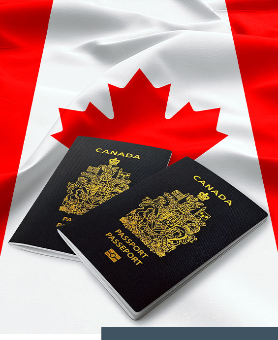 provincial nominee program alberta