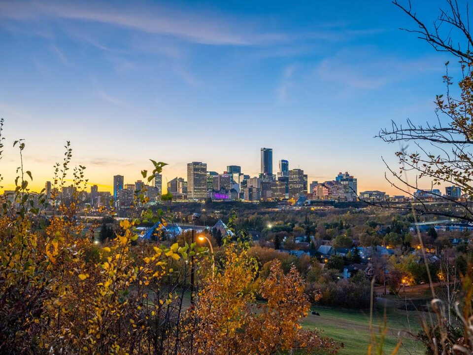 Immigration Consultant in Edmonton