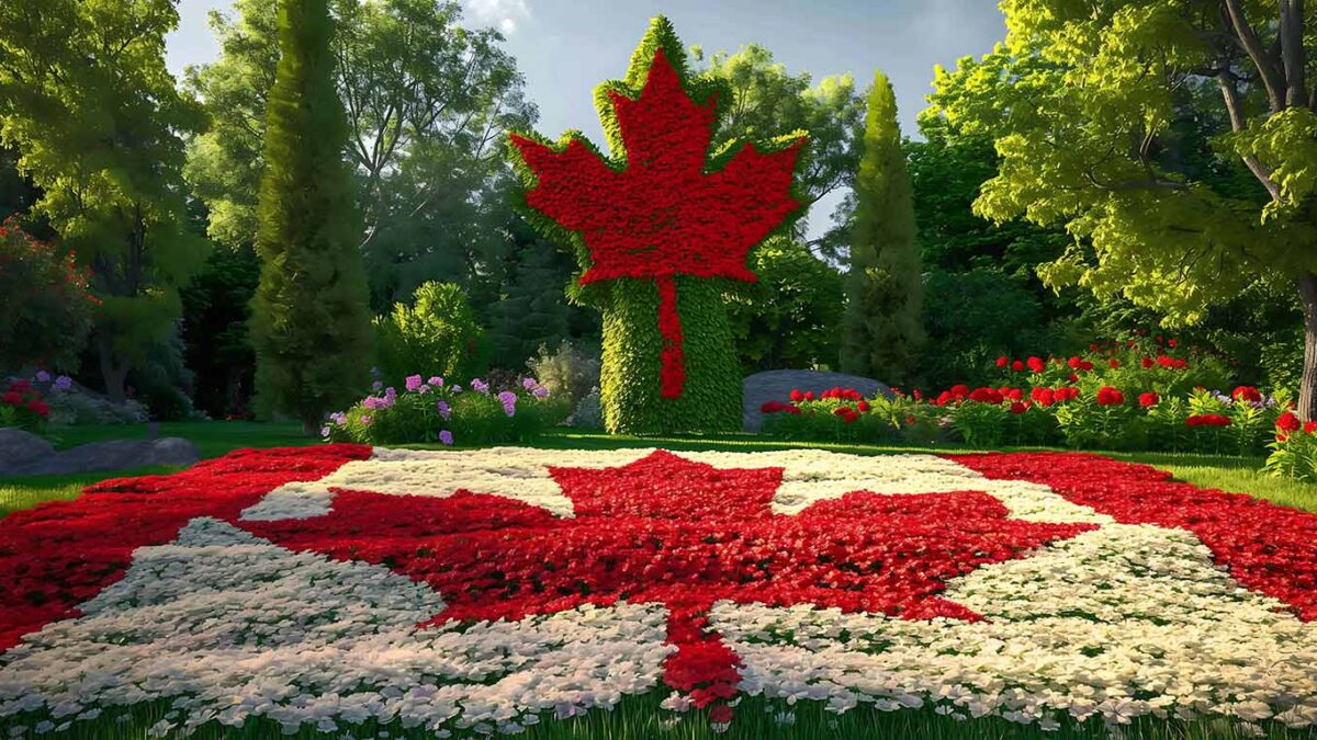 Best Immigration Consultant Alberta