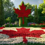 Best Immigration Consultant Alberta